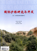 No.4 Vol.4 2006